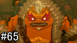 【実況】空の島から始まる新たな冒険【ゼルダの伝説 ティアーズ オブ ザ キングダム】part65