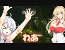 【ゼルダTOTK】蛮勇、悪知恵、暴力のトライフォースゆかり【VOICEROID実況プレイ】105