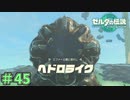 強そうなボス感出すのやめてもらっていい？　「ゼルダの伝説～ティアーズ・オブ・ザ・キングダム」　＃45