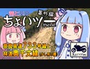 茜と葵のちょいツーPicnic 奈良県道733号線と林道奥千丈線
