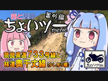 茜と葵のちょいツーPicnic 奈良県道733号線と林道奥千丈線