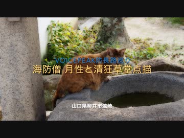Voicepeak 防長路史跡巡り　長州藩 維新への先駆者！「勤皇僧 月性・清狂」点描　柳井市遠崎　２０２３.７　