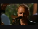 English Man In New York  Sting  Italy Live(イタリア・ライブ）