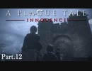 【A Plague Tale -Innocence-】ゲーム実況 #12 先生の言葉を頼りに目的地を目指しましたが、さまざまな試練が待ち構えていました...