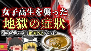 【2010年】テイクアウト品で女子高生が味わった地獄  100℃で6時間加熱しても無駄 調理済み食品に潜む危険「ウェルシュ菌食中毒」【ゆっくり解説】