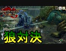 [MHR-S]夢の新旧狼揃いぶみ〔初見プレイ〕～part17