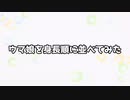 ウマ娘を身長順に並べてみた