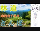 【COEIROINK車載】林道さんぽ＠宇連ダム・四谷千枚田【セロー】