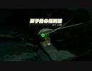 (ティアキン) ゼルダを探す旅part43　カカリコ村周辺の地下 【ゼルダの伝説ティーアズオブザキングダム The Legend of Zelda Tears of the Kingdom 】
