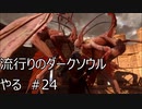 【実況】流行りのダークソウルやるpart24【DARKSOULS】