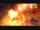 [MHR-S]必殺仕事人！〔初見プレイ〕～part20