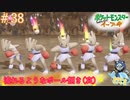 しょじきんがぁぁ＃38【Let's Goイーブイ】