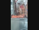 ホモと見る人間を誘惑する豚の丸焼き