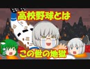 【ゆっくり解説】ゆっくり野球考察　Part5　～悲劇のエース　大野倫～