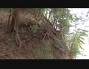 サブ044-2 青山リゾートから寄り道帰宅する雑談ドライブ@福田山宇氣比神社 津市白山町【サブチャン】
