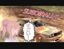スゴイラリー前半戦まとめ【DiRT Rally2.0】