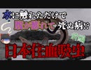 【ゆっくり解説】原因不明の地方病  日本住血吸虫について【前編】