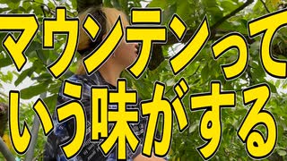 【宮勝農園】さくらんぼ狩りでジュノハートが食べられるってマ？【ちょい北の方から】