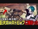 【MHWI】装備ランダム縛りモンハンワールド #1