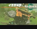 同棲関係…ってコト！？【ゼルダの伝説 ティアーズ オブ ザ キングダム / ゲーム実況】part10の4/4