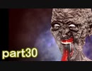 【血怨 -完全版-】ホラー苦手マンが怨霊と遊びますpart30【初見実況】