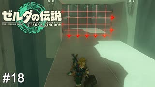 サイコロステーキにされちゃう!!　ゼルダの伝説 ティアーズオブザキングダム　実況　#18