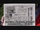 【ベルグアース】「植物ワクチン」接種したきゅうりの苗 増産
