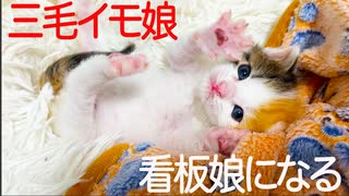 【子猫】三毛イモ娘、パン屋の看板娘になる