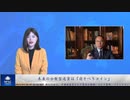 未来の分散型通貨は「寝そべりコイン」