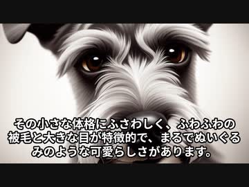 ミニチュア・シュナウザーの魅力！