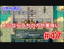 【夫婦で】幻想水滸伝さっくりプレイ#47【実況】