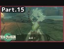 【ゼルダの伝説TotK】Part.15 風の呼び声【実況】