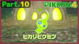 【ピクミン4】Part.10 夜闇の探索は危険がいっぱい【実況】