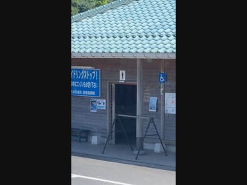 ホモと見る自動ドアのセンサーを理解しているツバメ