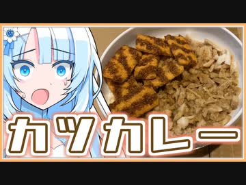 無水はもう古い！無ガス・無電気・無水道カツカレーを作ります。これで家にガス電気水道がない極端ミニマリストでも安心ですね。極端ミニマリストはお金も何も持ってないけど無銭飲食の前科だけは誰よりも持ってるよ