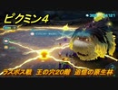 ピクミン４　ラスボス戦　王の穴２０階　追憶の原生林　メインミッション攻略　＃１６７　【Pikmin 4】