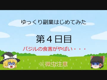 ゆっくり副業はじめてみた　第４日目