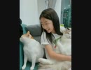ホモと見る他の猫を抱く飼い主を直視出来ない猫