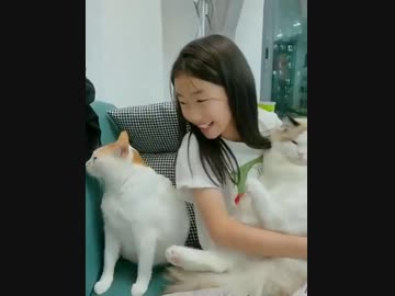 ホモと見る他の猫を抱く飼い主を直視出来ない猫