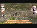 いあ太郎のガバガバ家庭菜園０３・２３年春夏