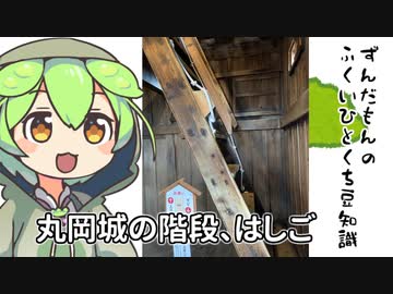 ずんだもん「これは本当に階段と呼んでいいのだ？？」