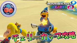 【マリカ8DX】夏満載カップなチェリーカップを攻略【マリオカート8デラックス】