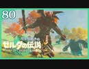 #080【ゼルダの伝説ティアーズオブザキングダム】ちょっと世界を翔けてくる【実況プレイ】