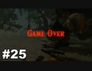 【ゆっくり実況】ゼルダの伝説BotW 4縛り#25