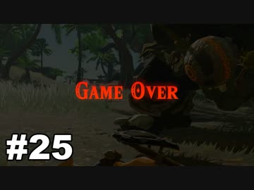 【ゆっくり実況】ゼルダの伝説BotW 4縛り#25