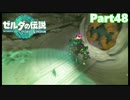 【48】ぼっち勇者の天空探検【ゼルダの伝説ティアーズオブザキングダム】