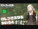 【ゼルダの伝説BotW】ほしつきありあわいるど Part102【VOICeVI実況】