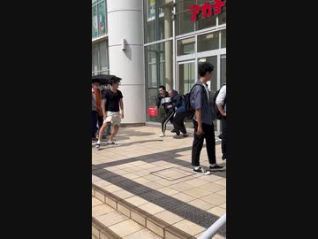 ホモと見るポケカ大戦争