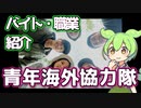 【青年海外協力隊】ずんだもんと学ぶ職業・バイト