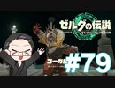 【実況プレイ】 ゼルダの伝説 ティアーズオブザキングダム part79 【いちご大福】